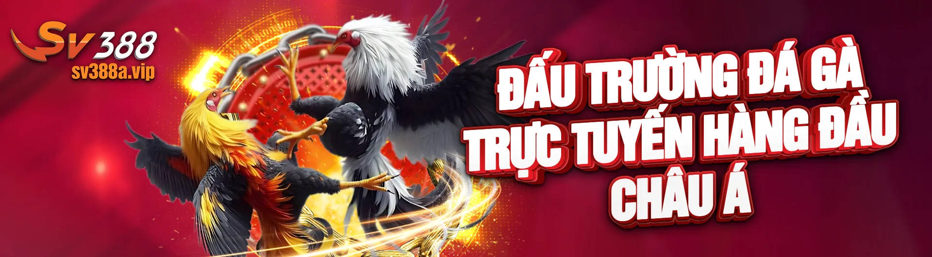 sv388 Đấu Trường Đá Gà hot hit 2025